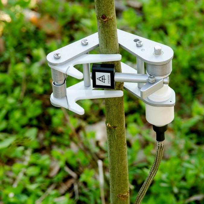 樹干直徑變化測量傳感器