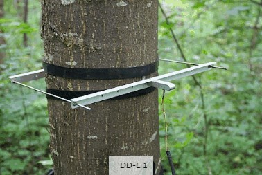 直徑生長測量傳感器 直徑生長測量傳感器