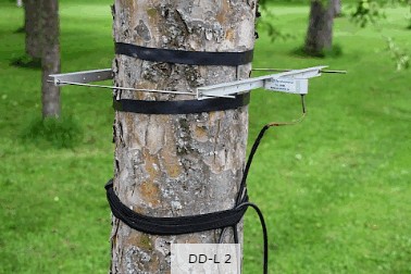 直徑生長測量傳感器 直徑生長測量傳感器