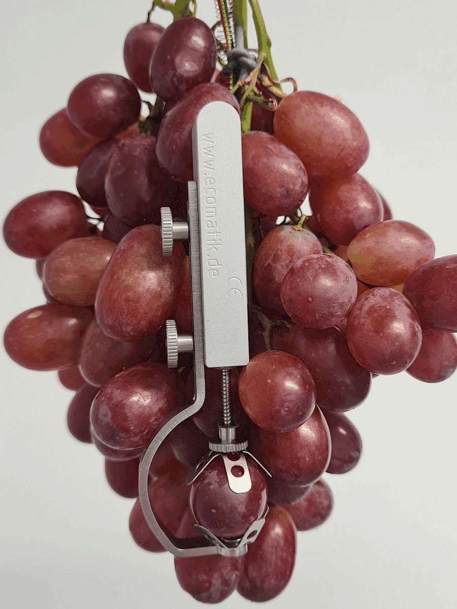 生長測量傳感器 生長測量傳感器