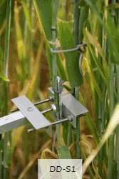 直徑生長測量儀 直徑生長測量儀