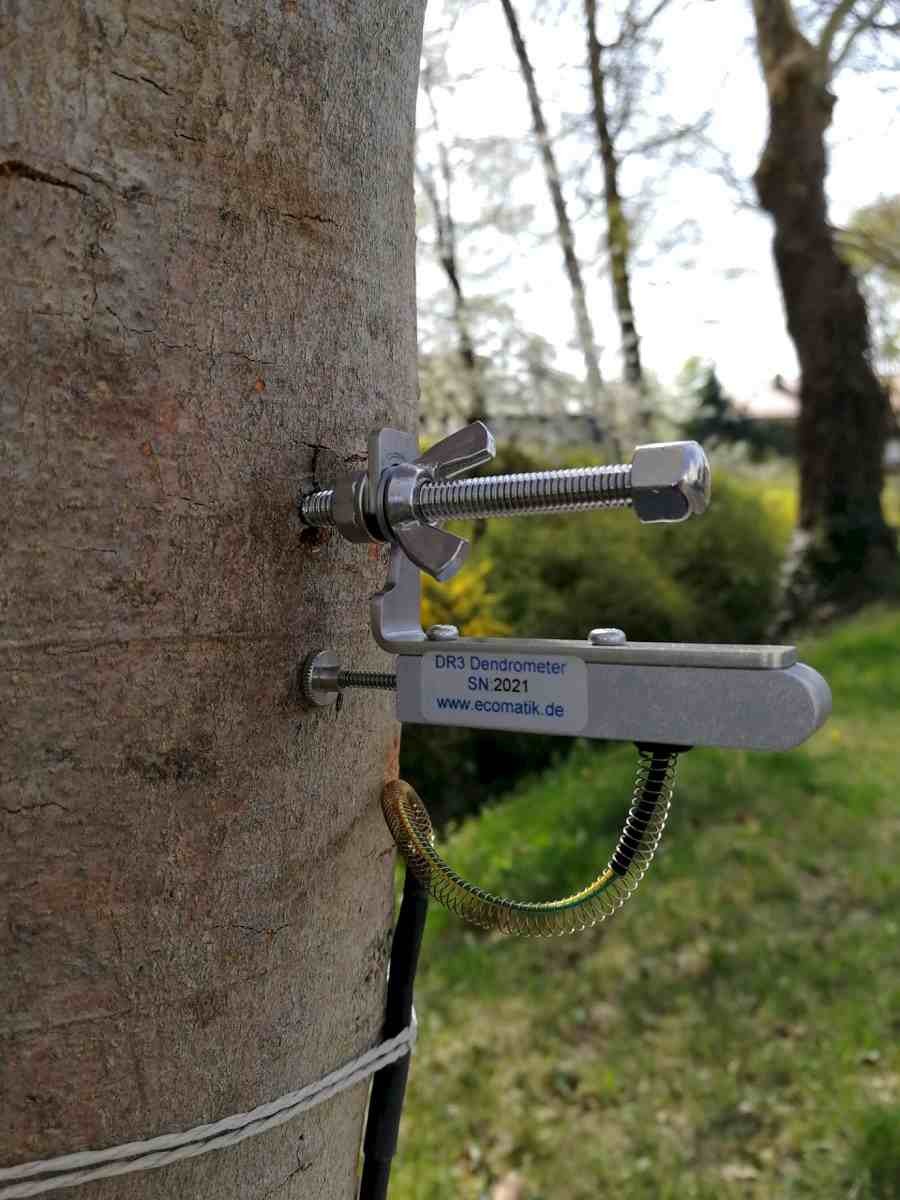 半徑生長測量儀 半徑生長測量儀