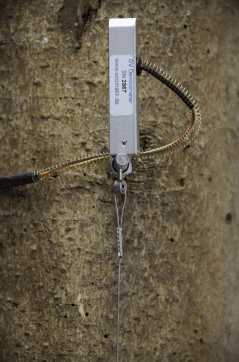 莖稈縱向變化測量傳感器