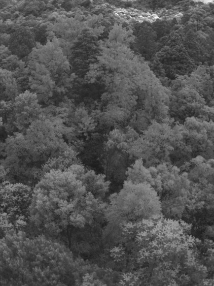 圖片關鍵詞 圖片關鍵詞