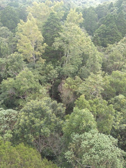 圖片關鍵詞 圖片關鍵詞