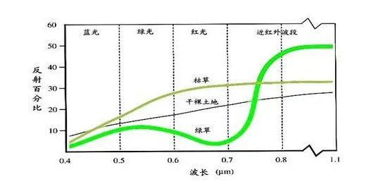 植物指數儀 植物指數儀