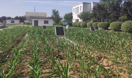 土壤旱情監測系統